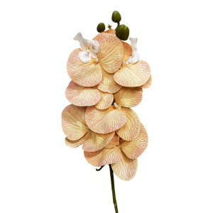 Artificial Phalaenopsis Champange