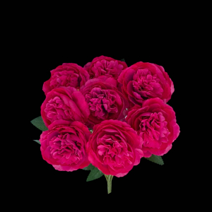 Artificial Flower Peony Bunch Hot Pink (9 PCS)