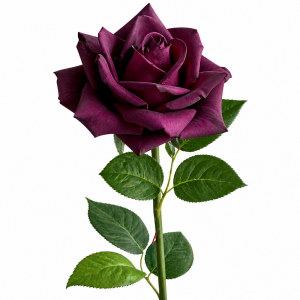 Hyper Realism Rose Dark Purple