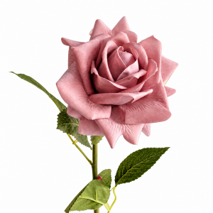 Hyper Realism Rose Old Rose