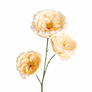 Artificial Austin Rose Champange