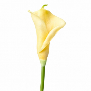 Artificial Calla Lily Light Yellow