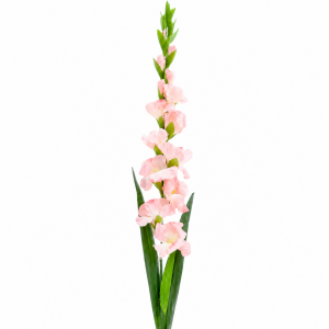 Artificial Gladiolus Champange