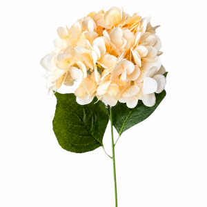 Artificial  Hydrangea Champange