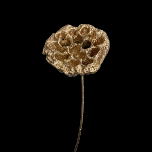 Artificial Lotus Flower Gold
