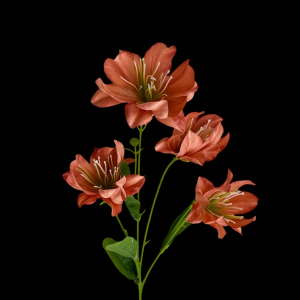 Artificial Amaryllis Brown