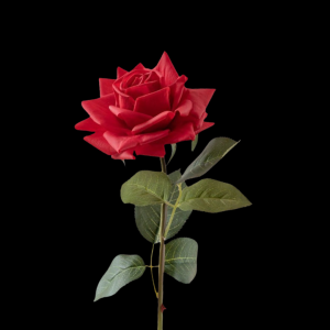 Hyper Realism Rose Red