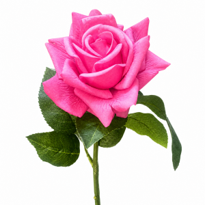 Hyper Realism Rose Hot Pink