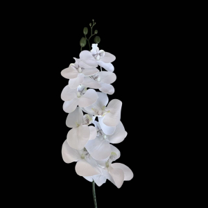 Artificial Flower Phalaenopsis White