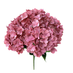 Artificial Big Hydrangea Bunch Oldrose (5 heads)