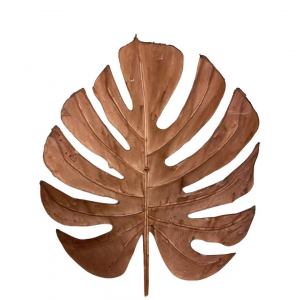 Clearance! Artificial Turtle Leaf Brown