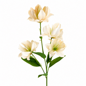 Artificial Amaryllis  Champange