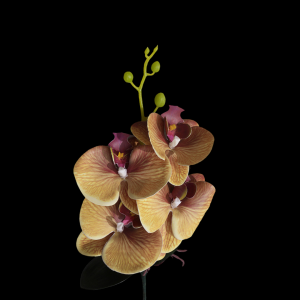 Artificial Phalaenopsis Brown