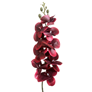 Artificial  Phalaenopsis Burgundy
