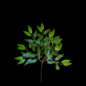 Artificial Eucalyputs Leaf