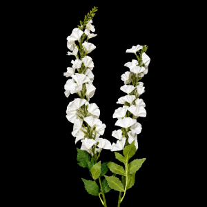 Artificial Morning Glory White