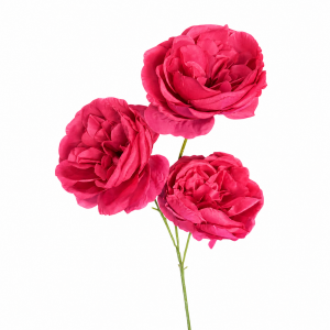 Artificial Round Rose Hot Pink