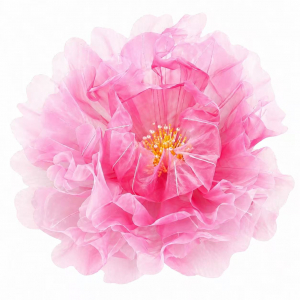 Giant Yarn Flower Head Pink (75cm)