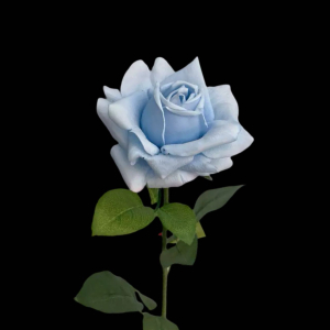Hyper Realism Rose Blue