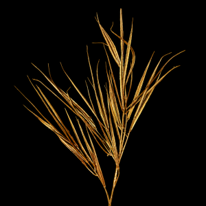 Artificial Spring Leaf Gold