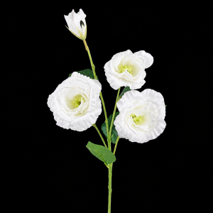 Artificial Eustoma White