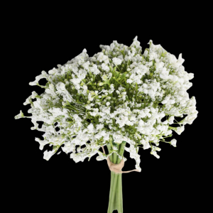 Artificial Flower Baby\'s Breath Bunch White  (12 pcs)