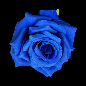 Artificial Rose Head Royal Blue  (1 Piece)