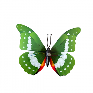 Giant 3D Butterflies  Green 40cm (1 piece)
