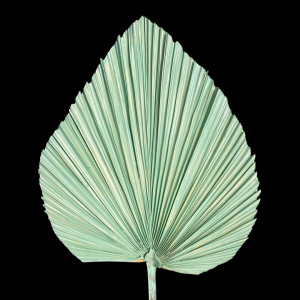 Dired Palm Leaf Green
