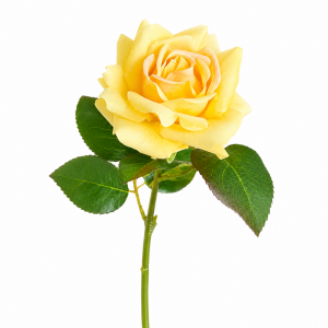 Hyper Realism Rose Light Yellow