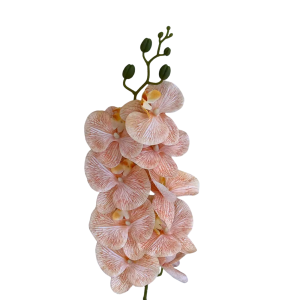 Artificial Phalaenopsis Champange