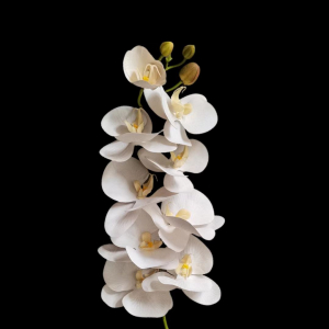 Artificial Flower Phalaenopsis White