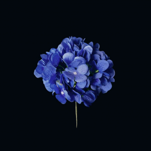 Artificial Flower Hydrangea Royal Blue