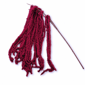 Artificial Hanging Green Moss Branch Burgundy