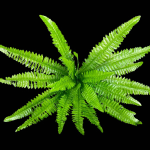 Artificial  Leaf Green