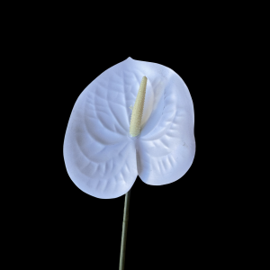 Artificial Flower Anthurium White